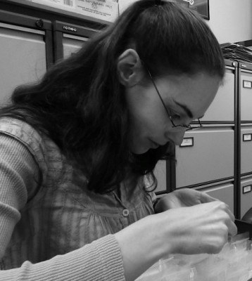 Figure 4. Examining finds (Image Copyright: West Yorkshire Archaeology Advisory Service).